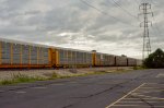 Autoracks train in the yard